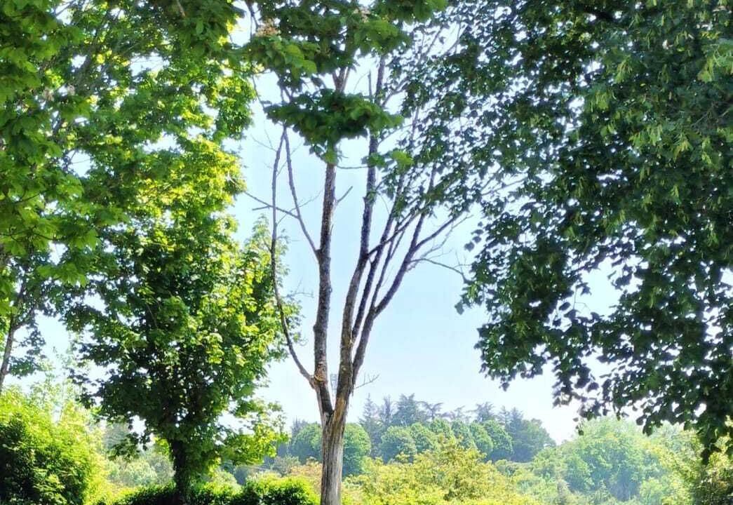 Photo of Outdoor in Villebois-Lavalette
