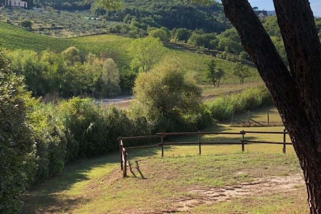 Photo of Outdoor in Carmignano