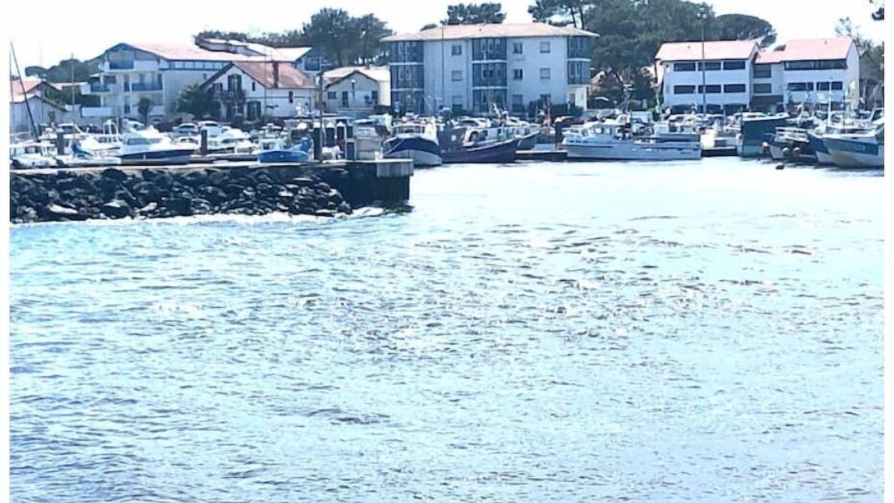 Photo of Others in Saint-Vincent-de-Tyrosse