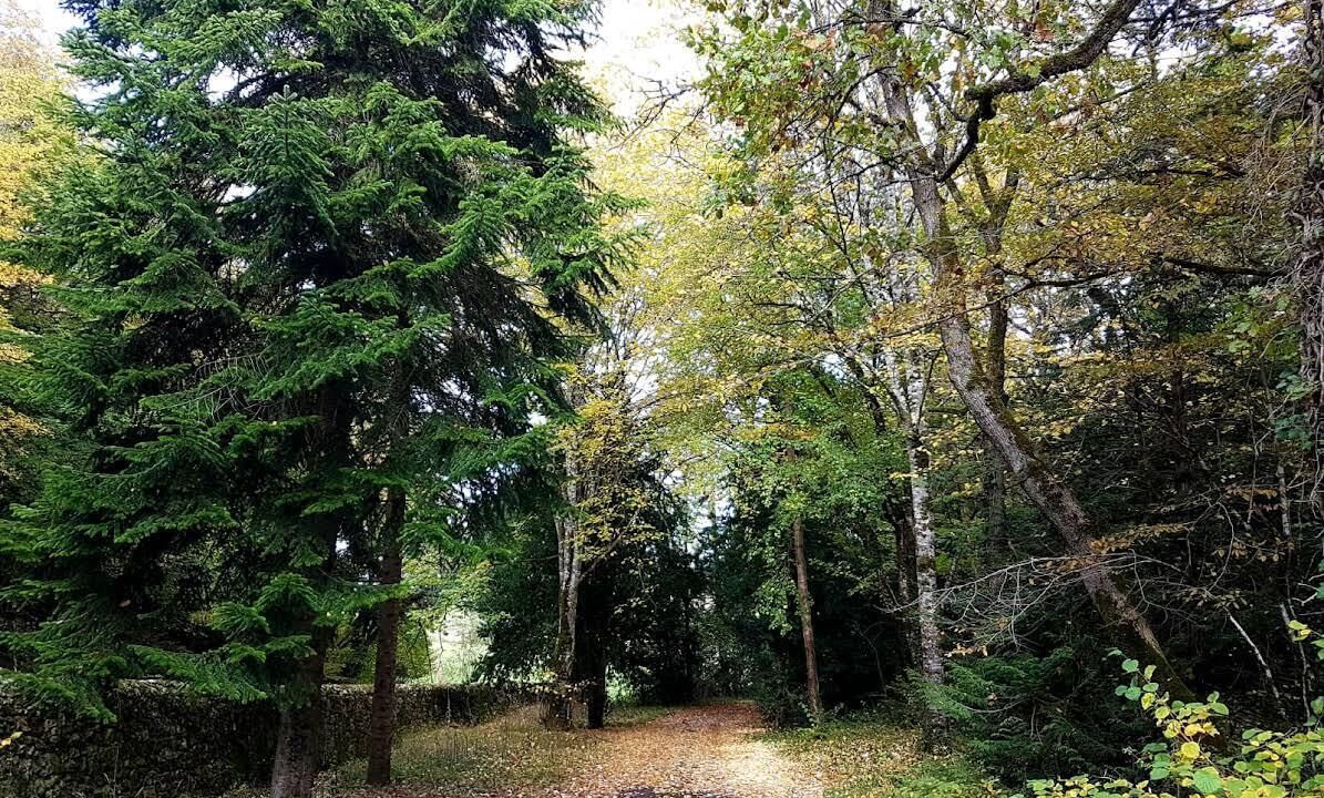 Photo of Outdoor in Saint-Pierre-de-Maille