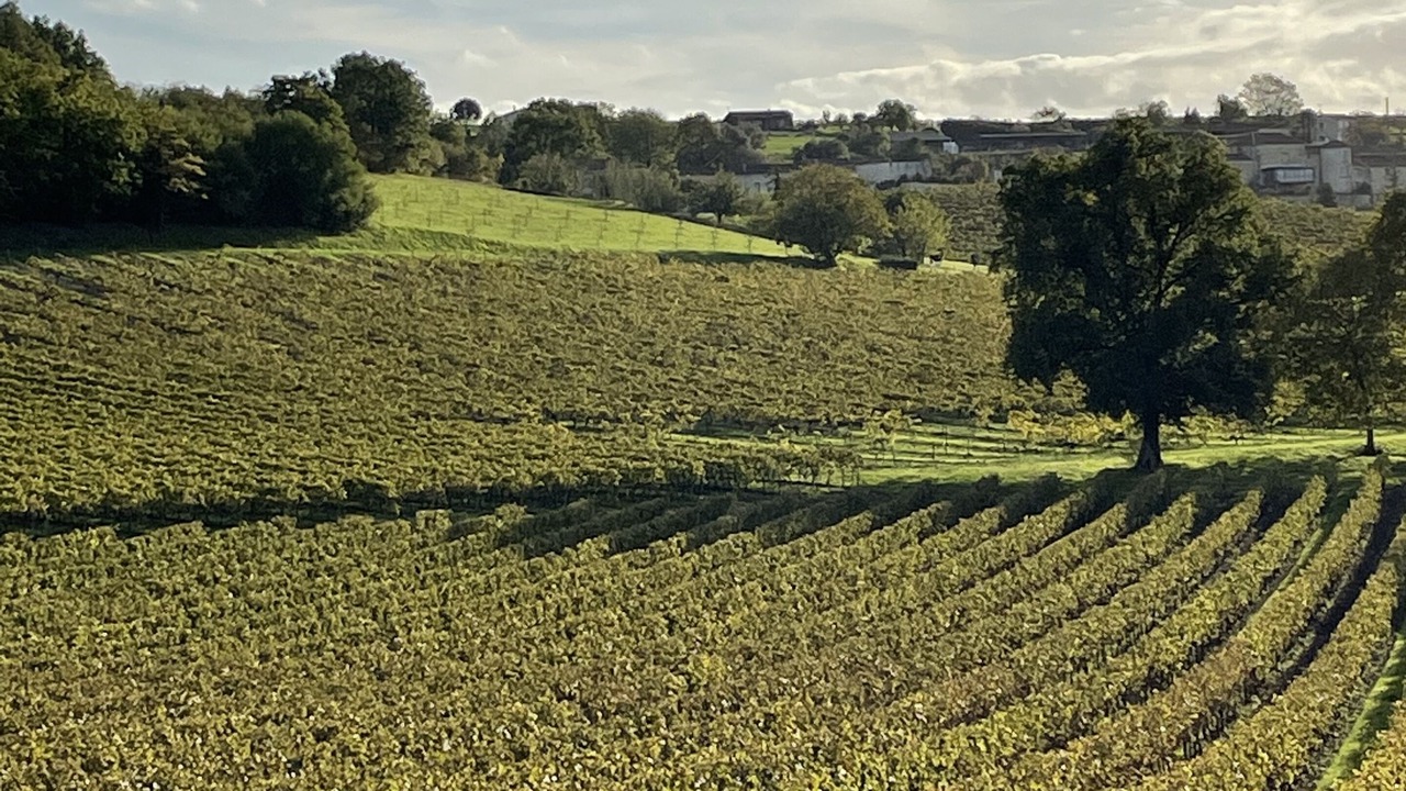 Photo of Outdoor in Angeac-Champagne