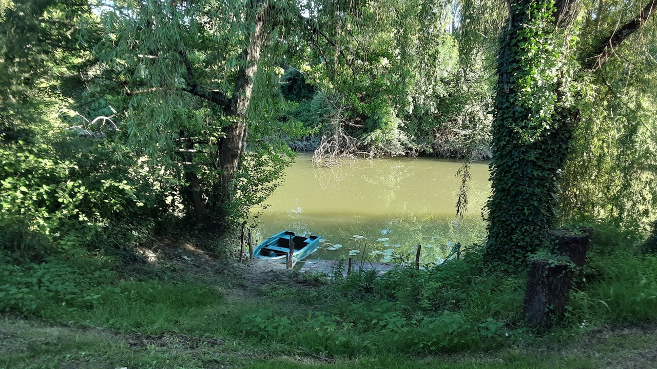 Photo of Others in Taillecavat
