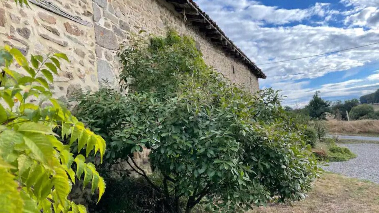 Photo of Outdoor in Chassenon