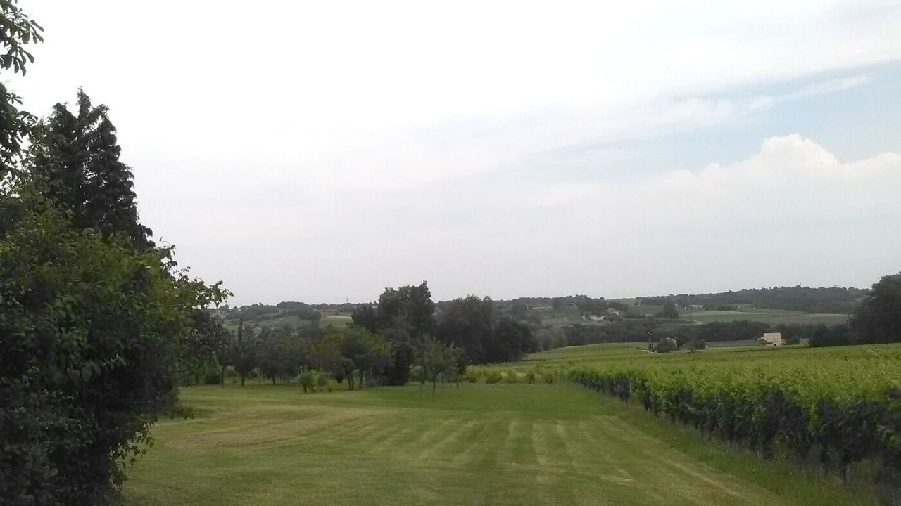 Photo of Outdoor in Berson