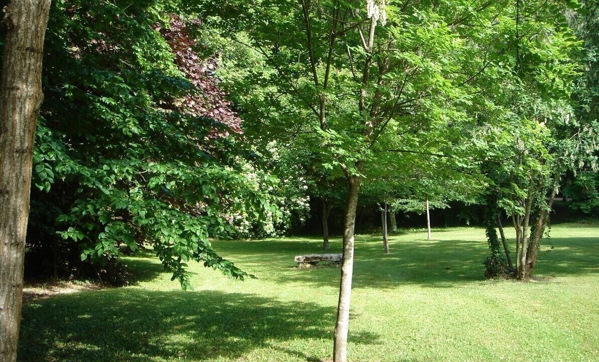 Photo of Outdoor in Puisseguin