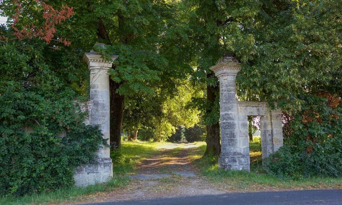 Photo of Others in Puisseguin