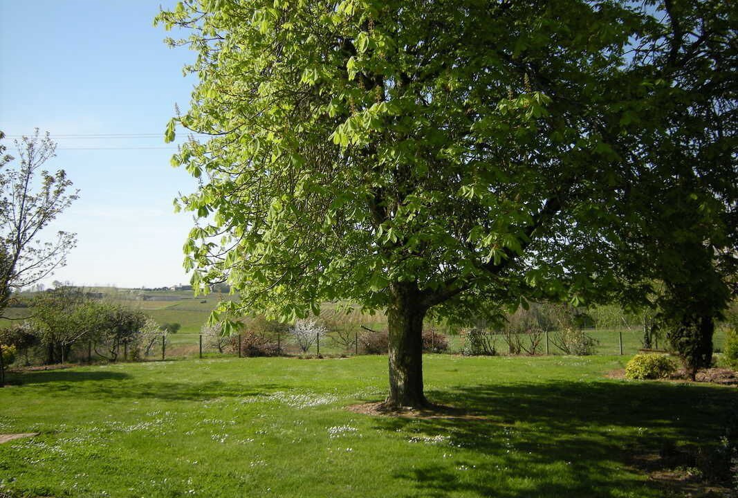 Photo of Outdoor in Saint-Andre-du-Bois