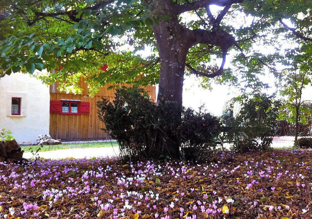Photo of Outdoor in Cadaujac