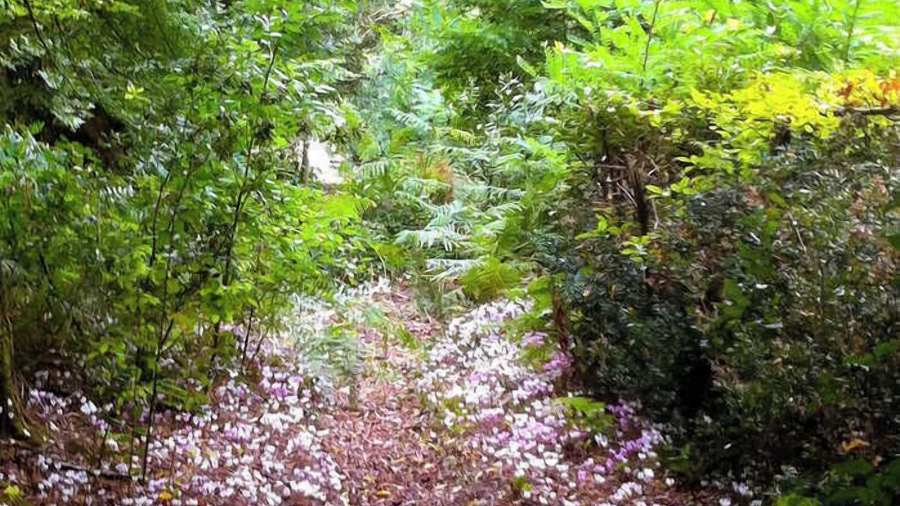Photo of Outdoor in Cadaujac