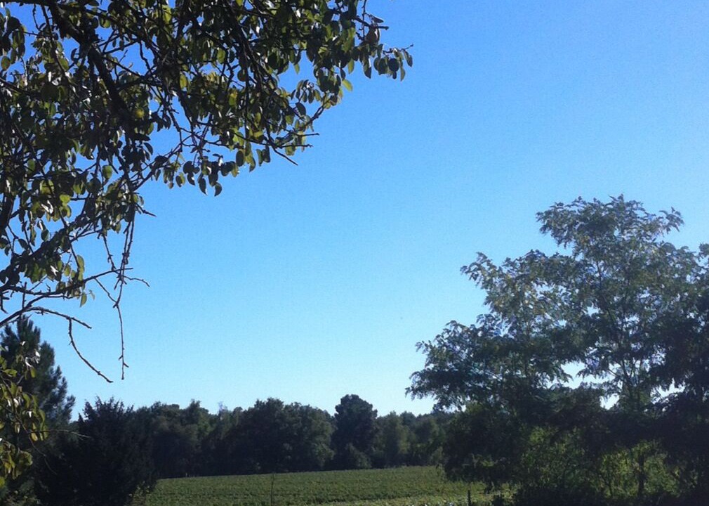 Photo of Outdoor in Cadaujac