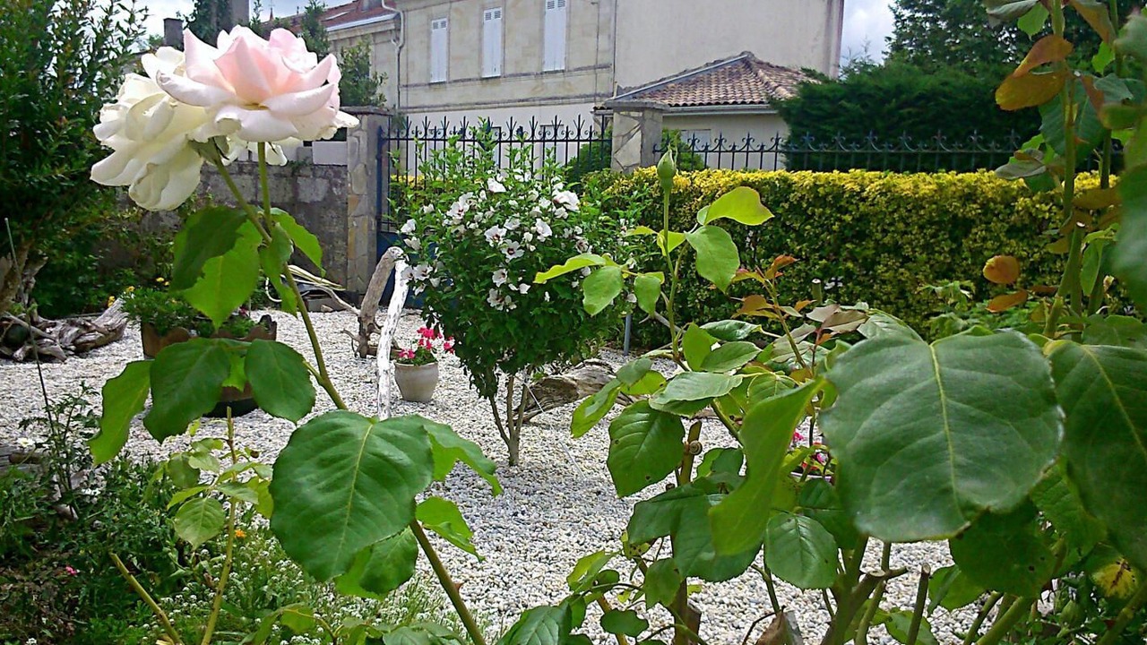 Photo of Outdoor in Jau-Dignac-et-Loirac