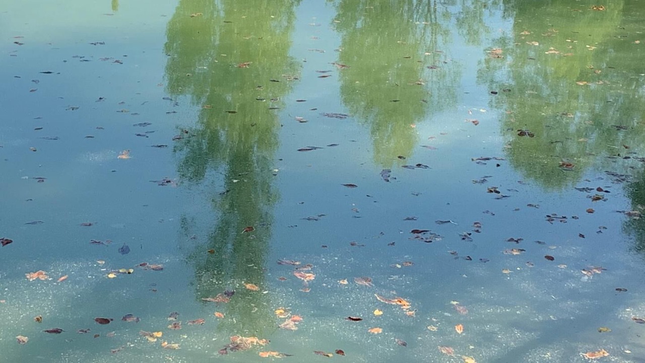 Photo of Others in Saint-Martin-de-Laye