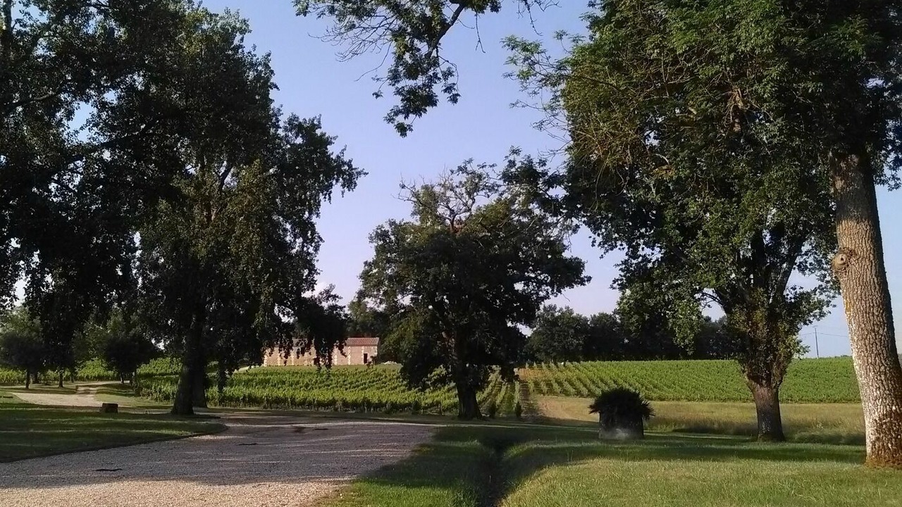 Photo of Others in Saint-Martin-de-Laye
