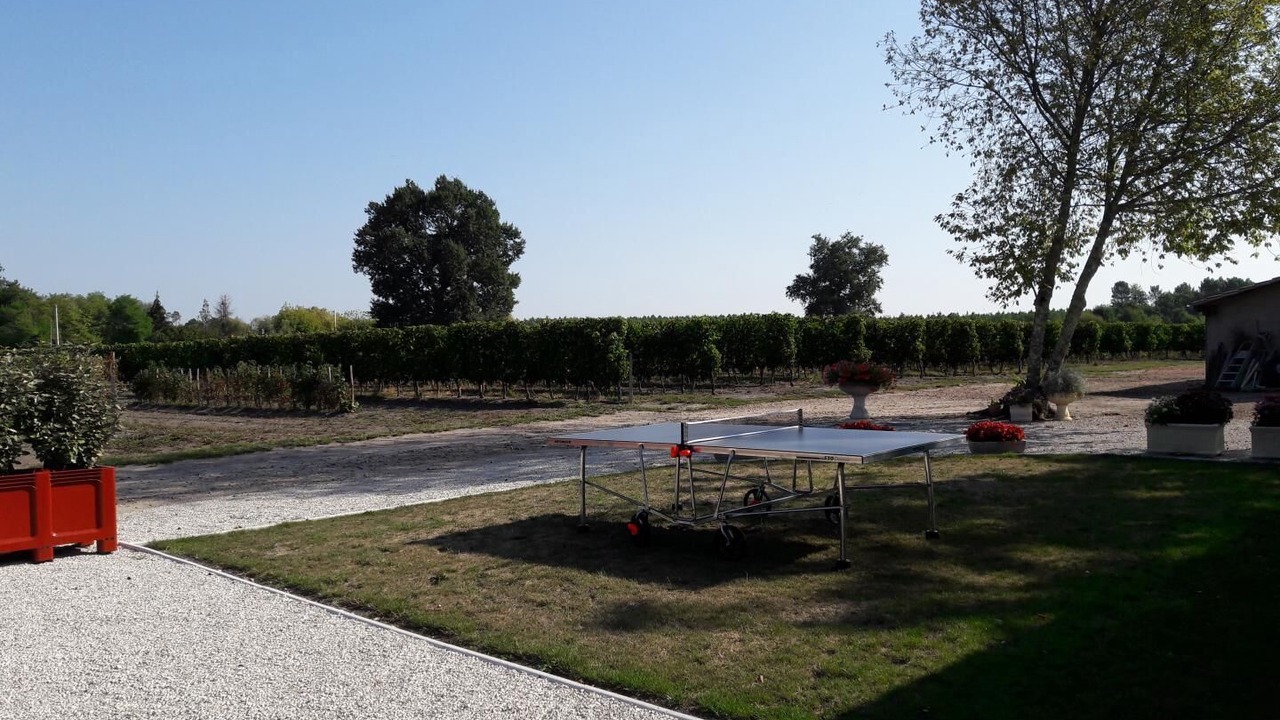 Photo of Outdoor in Saint-Savin