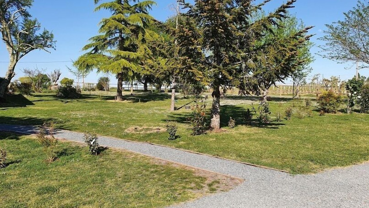Photo of Outdoor in Tizac-de-Curton
