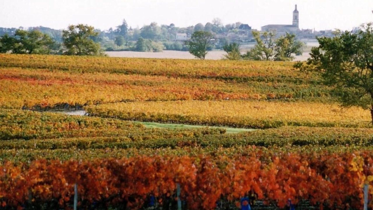 Photo of Outdoor in Cussac-Fort-Medoc