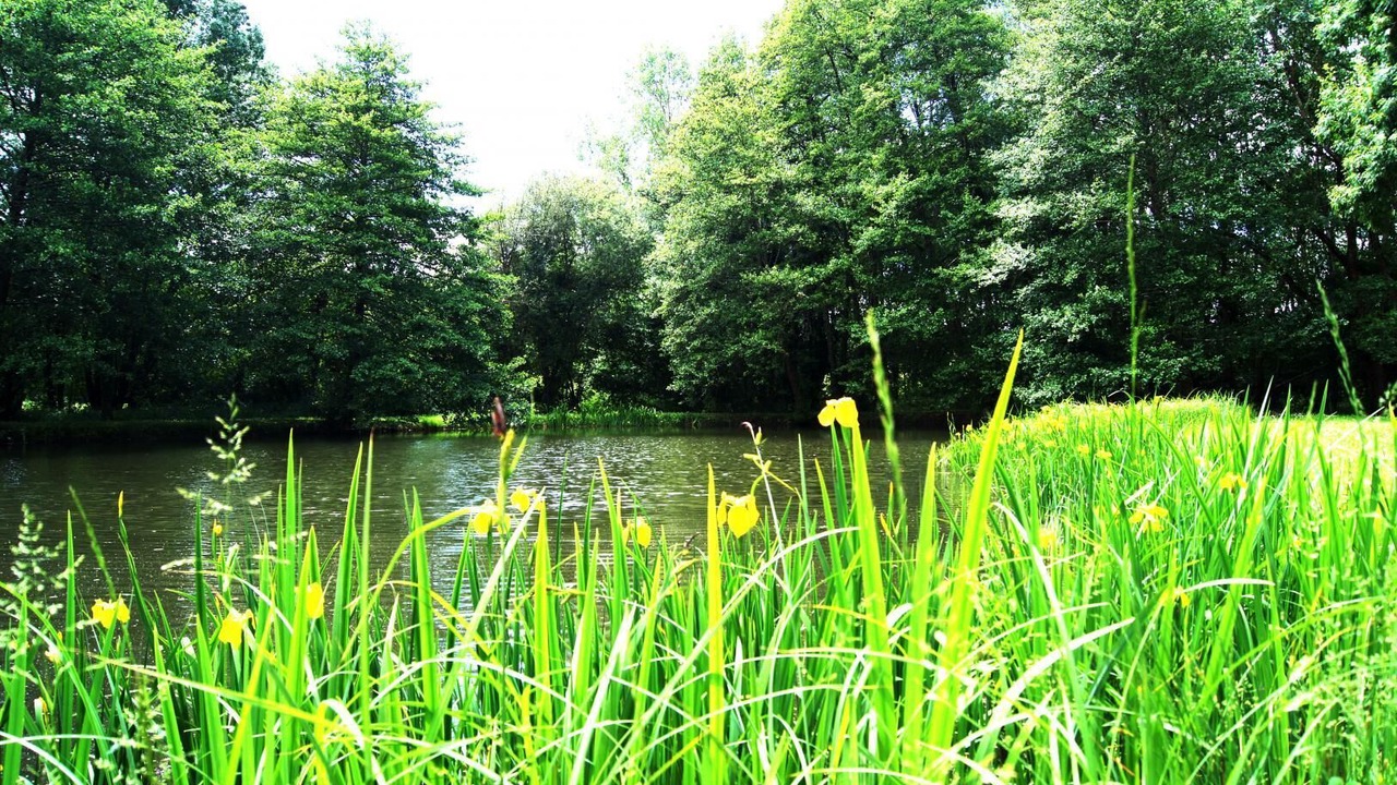Photo of Outdoor in Lussac
