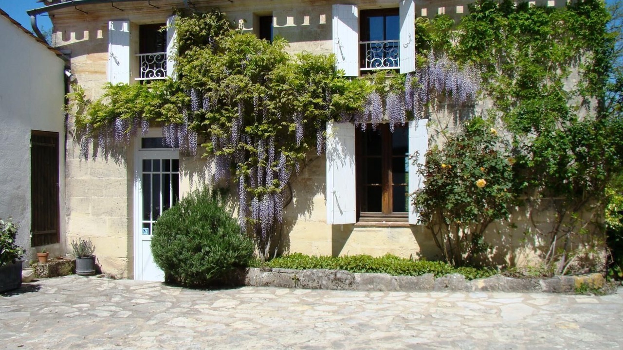 Photo of Outdoor in Lussac