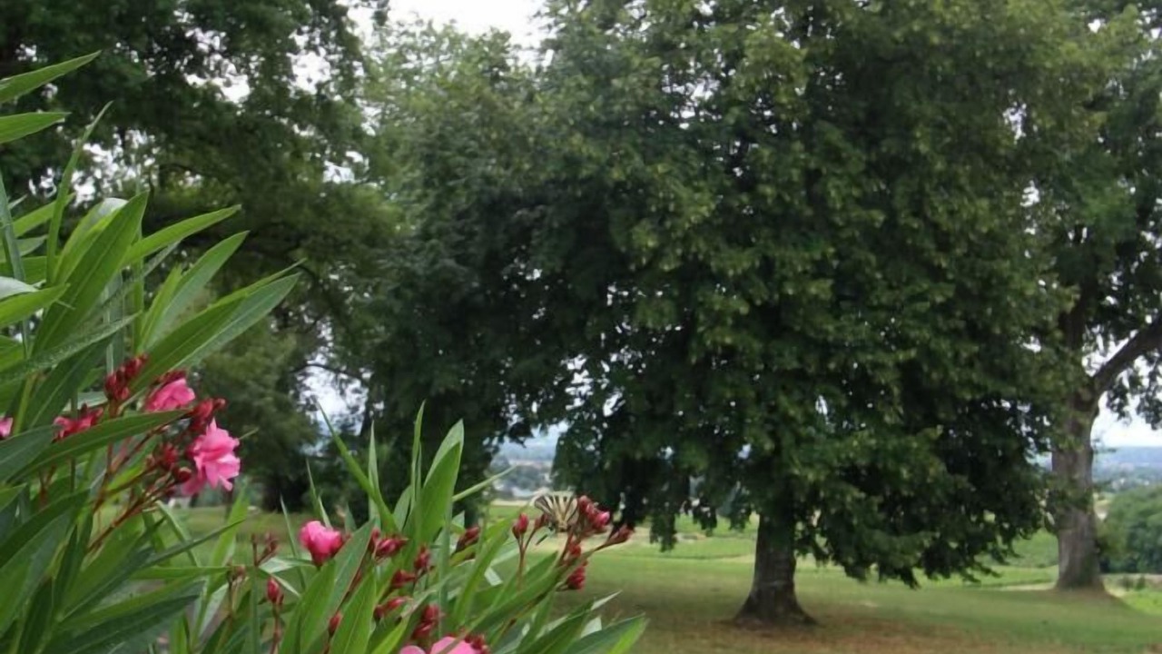 Photo of Outdoor in Sainte-Colombe