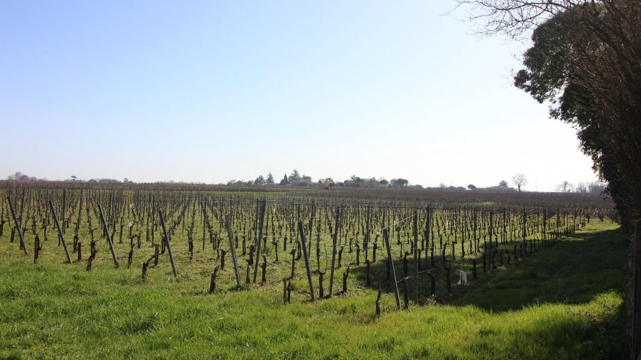 Photo of Outdoor in Saint-Aignan