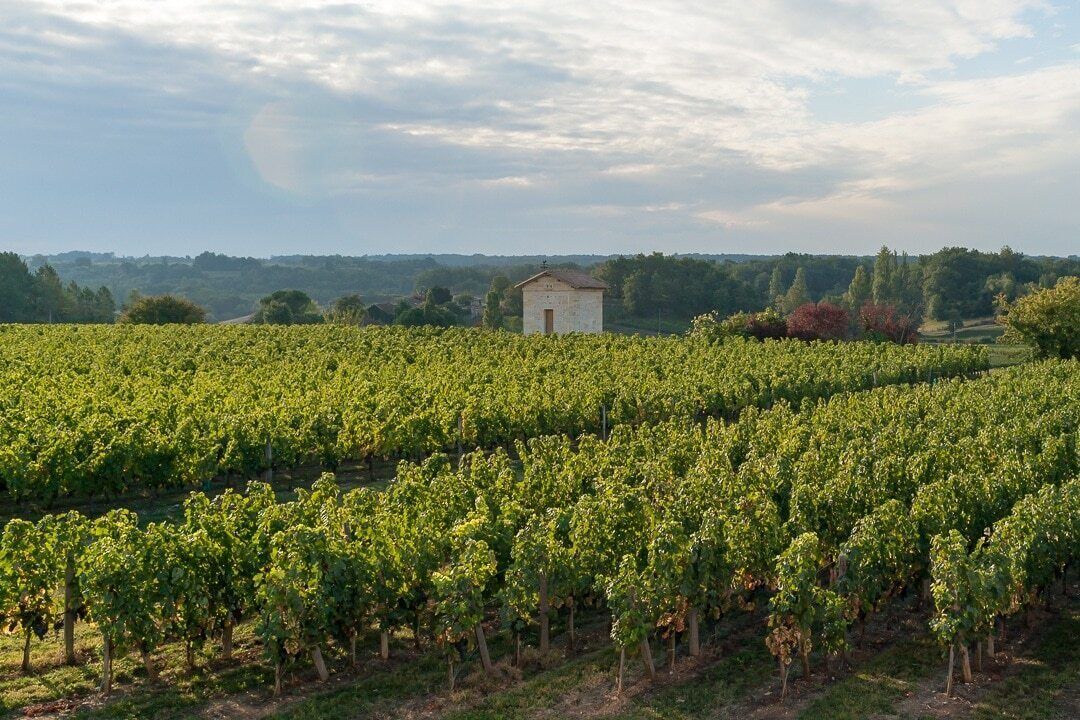 Photo of Outdoor in Puisseguin