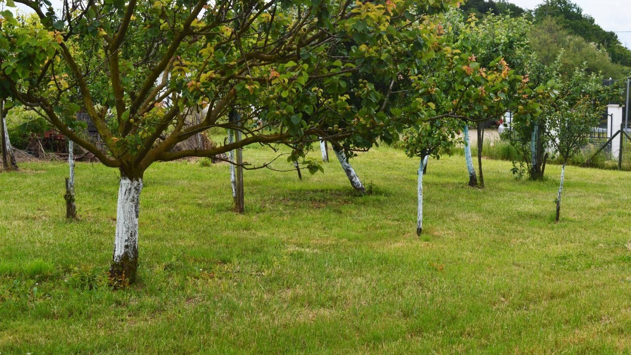 Photo of Outdoor in Yvrac