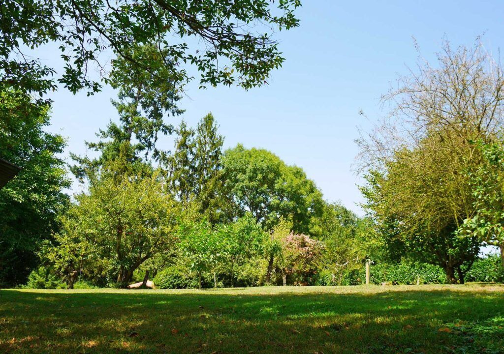Photo of Outdoor in Charroux
