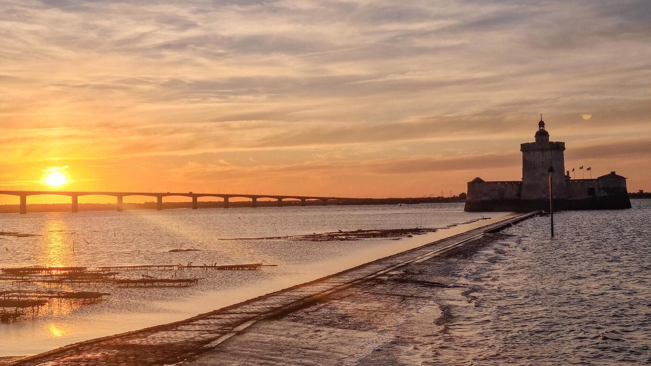 Photo of Others in Mortagne-sur-Gironde