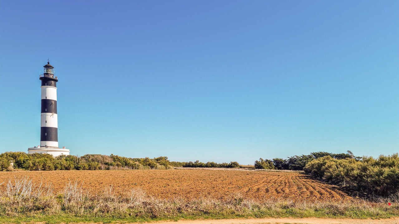 Photo of Others in Mortagne-sur-Gironde