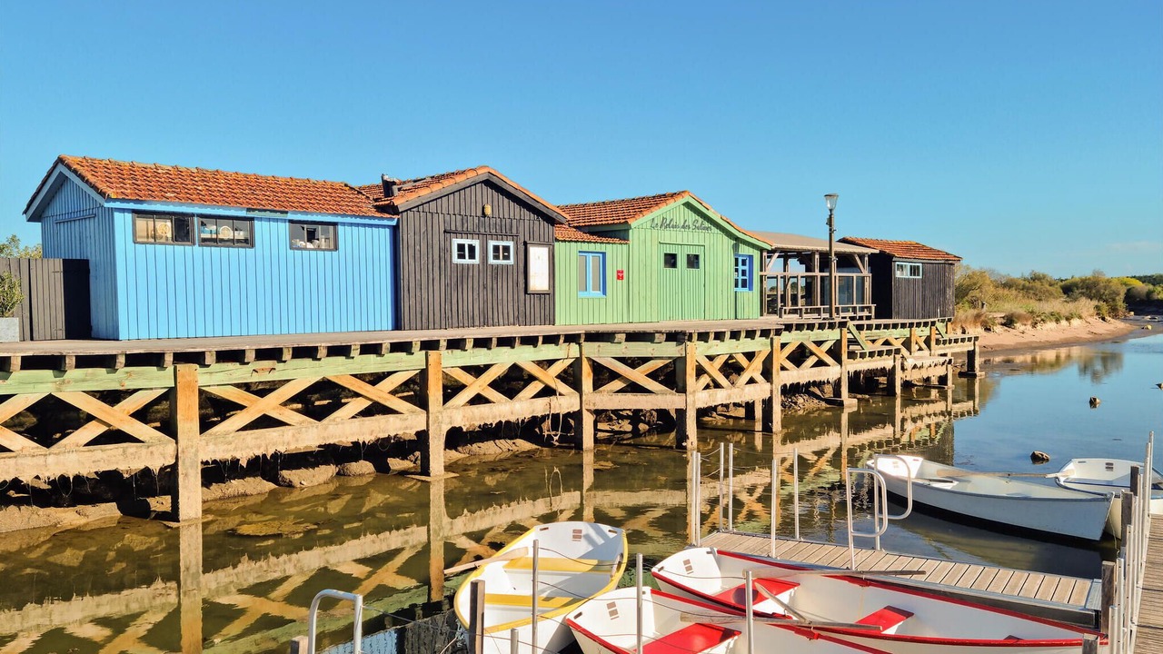 Photo of Others in Mortagne-sur-Gironde