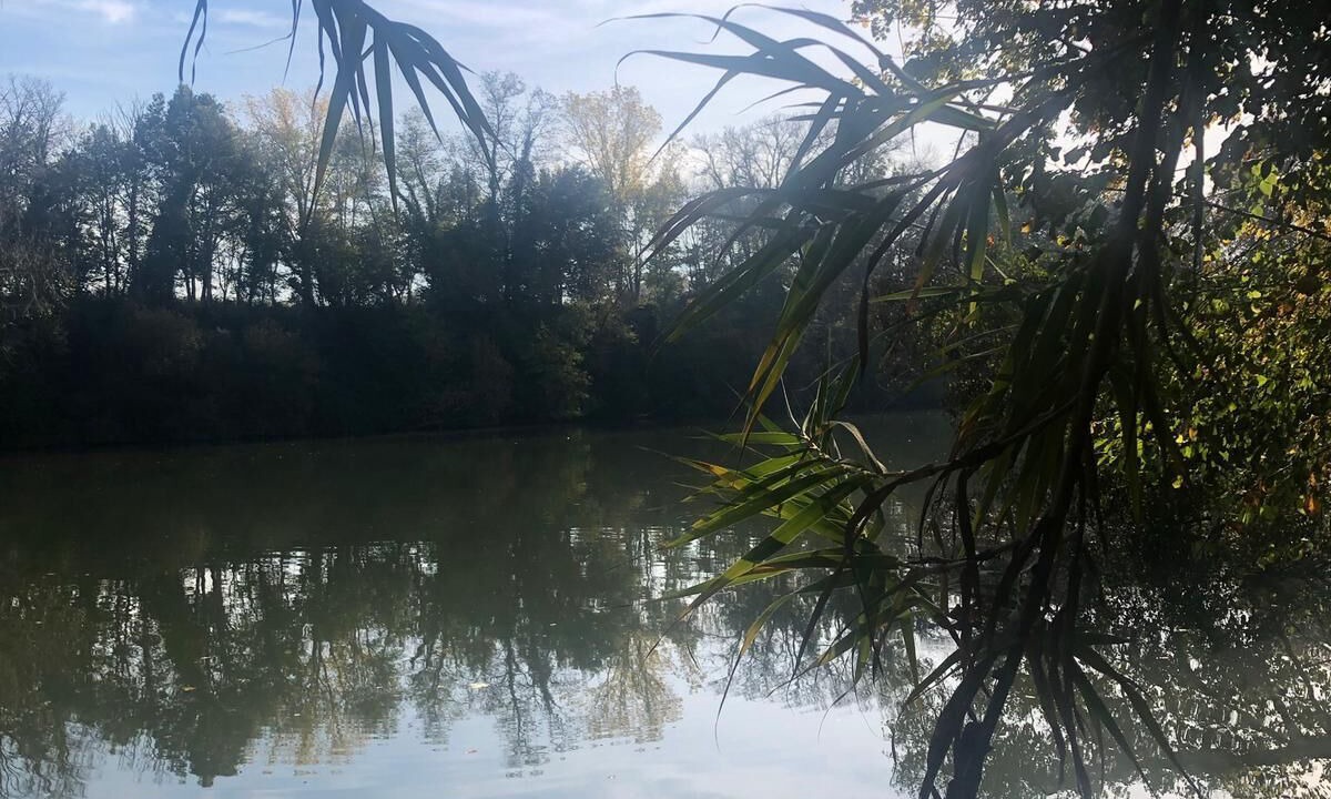 Photo of Outdoor in Le Ledat