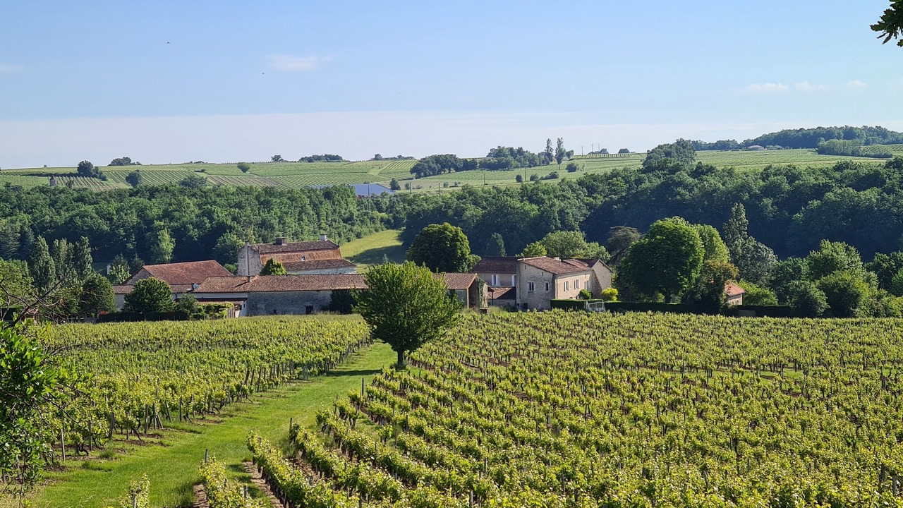 Photo of Outdoor in Les Leves-et-Thoumeyragues