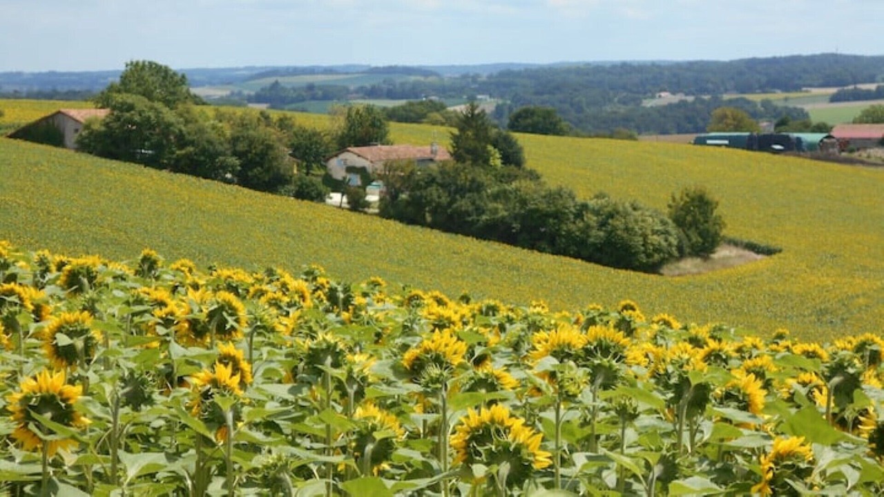 Photo of Others in Nanteuil-de-Bourzac