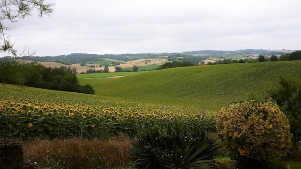 Photo of Others in Nanteuil-de-Bourzac