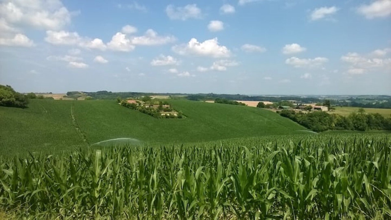 Photo of Others in Nanteuil-de-Bourzac