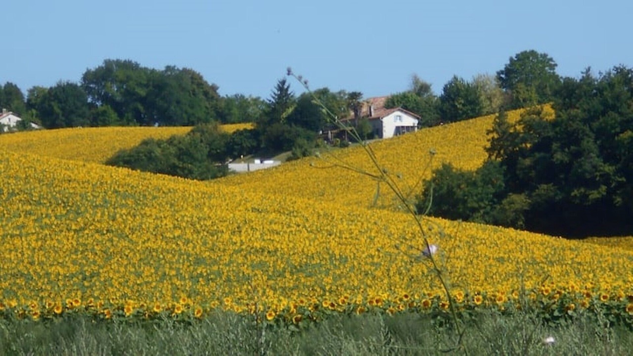 Photo of Outdoor in Nanteuil-de-Bourzac