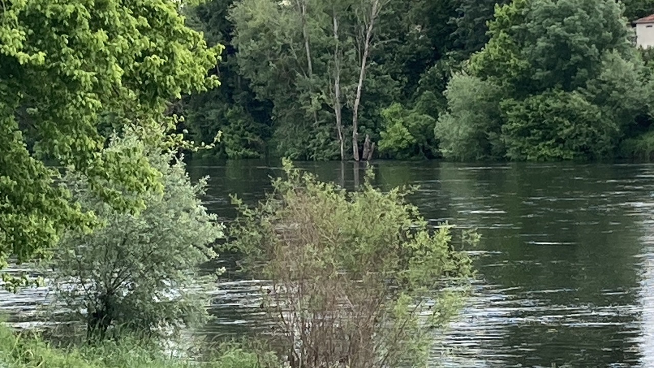 Photo of Others in Sainte-Foy-la-Grande
