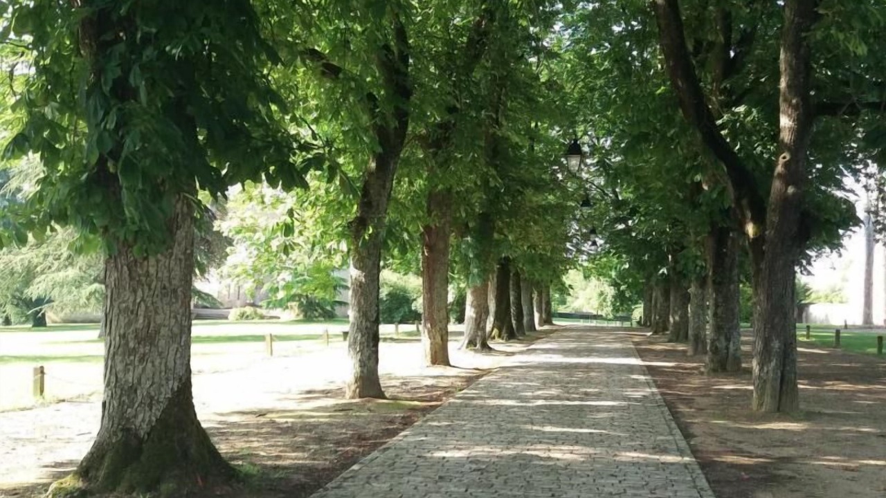 Photo of Outdoor in Ayron