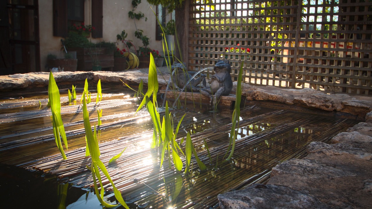 Photo of Outdoor in Saint-Cyprien