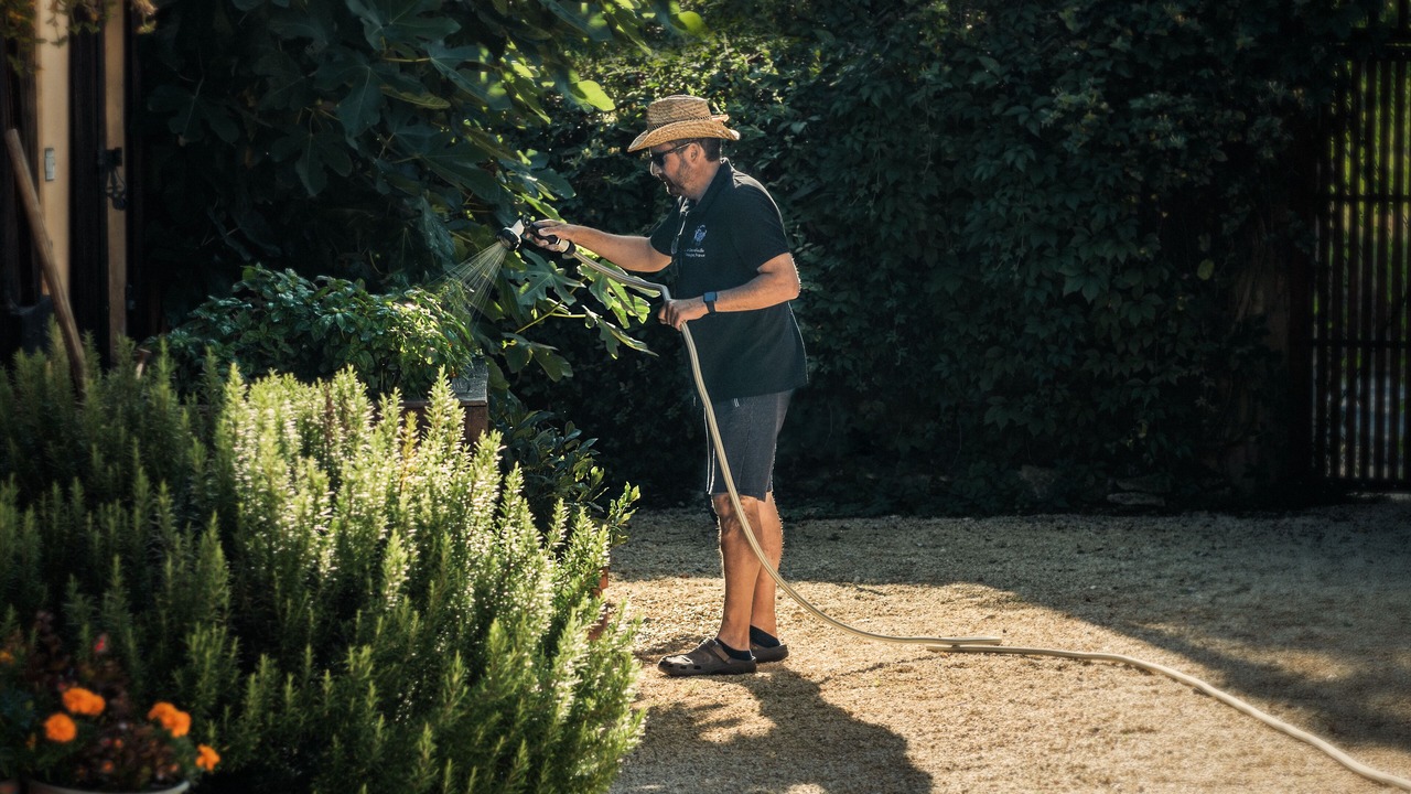 Photo of Outdoor in Saint-Cyprien