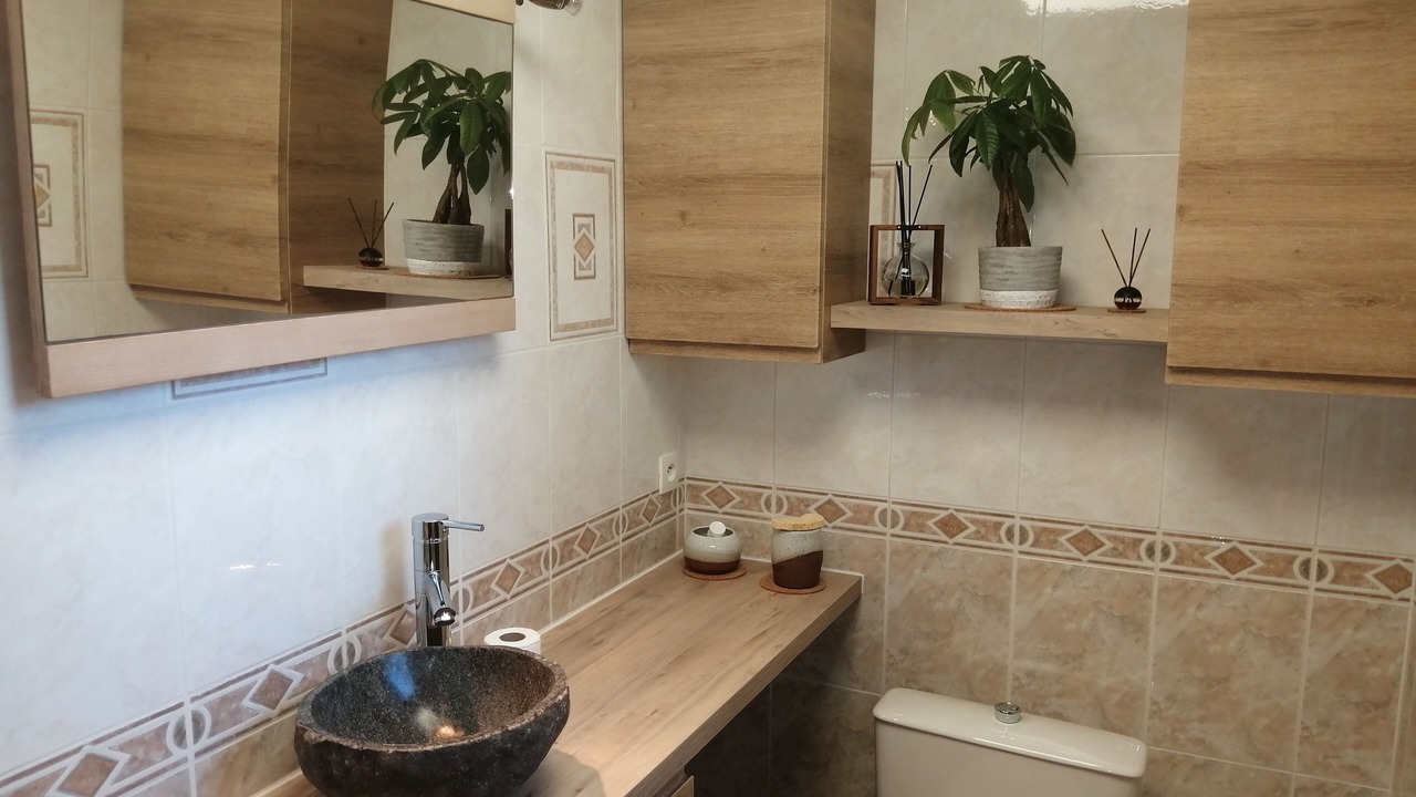 Photo of Bathroom in Salles