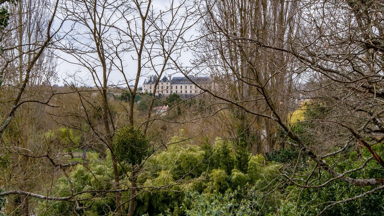 Photo of Outdoor in Thouars