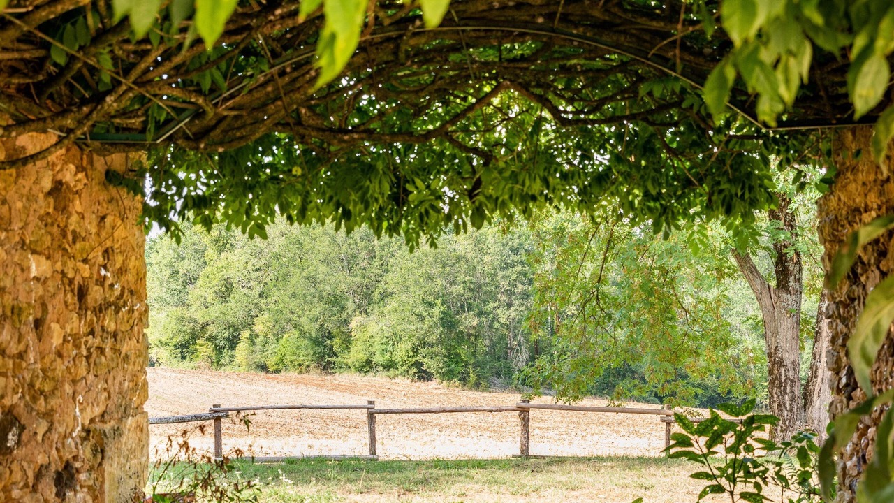 Photo of Outdoor in Val de Louyre et Caudeau