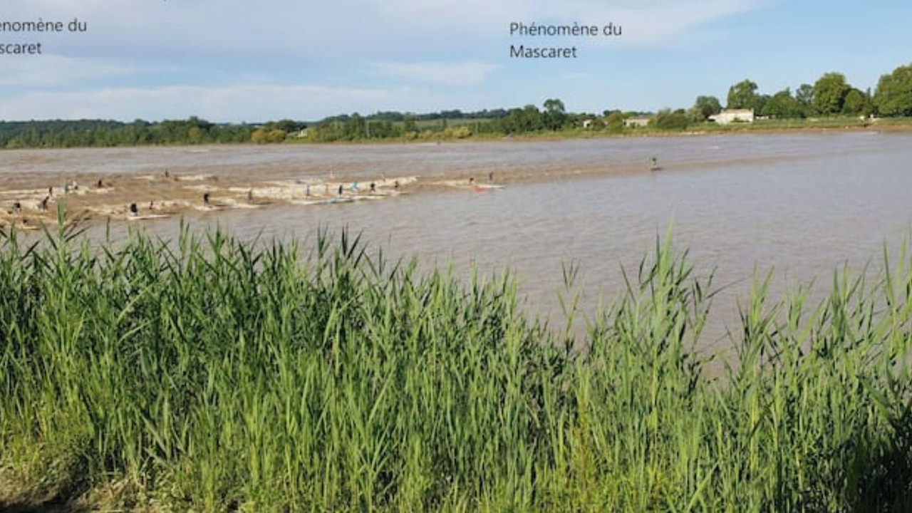 Photo of Others in Saint-Sulpice-et-Cameyrac