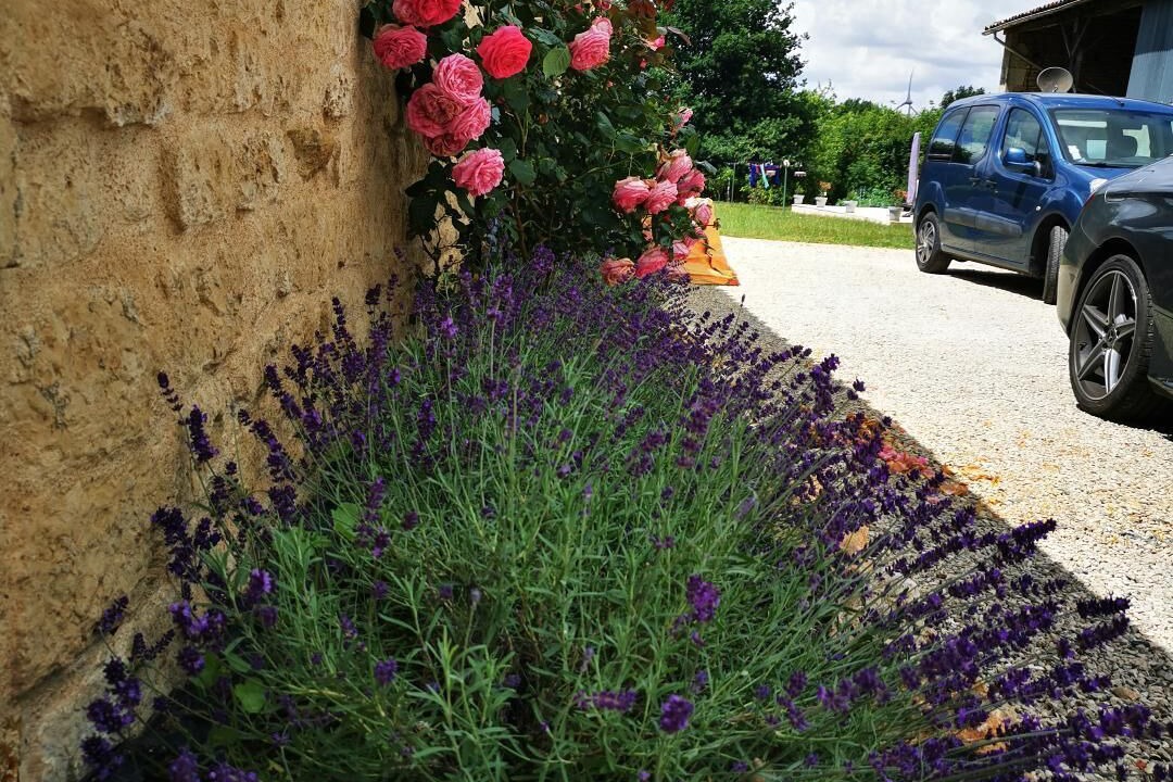 Photo of Outdoor in Les Alleuds
