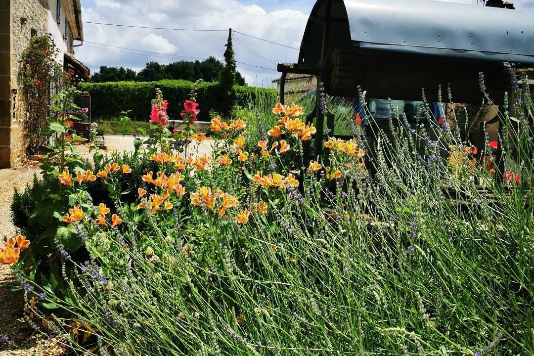 Photo of Outdoor in Les Alleuds