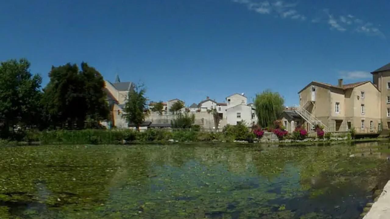 Photo of Others in Chasseneuil-du-Poitou
