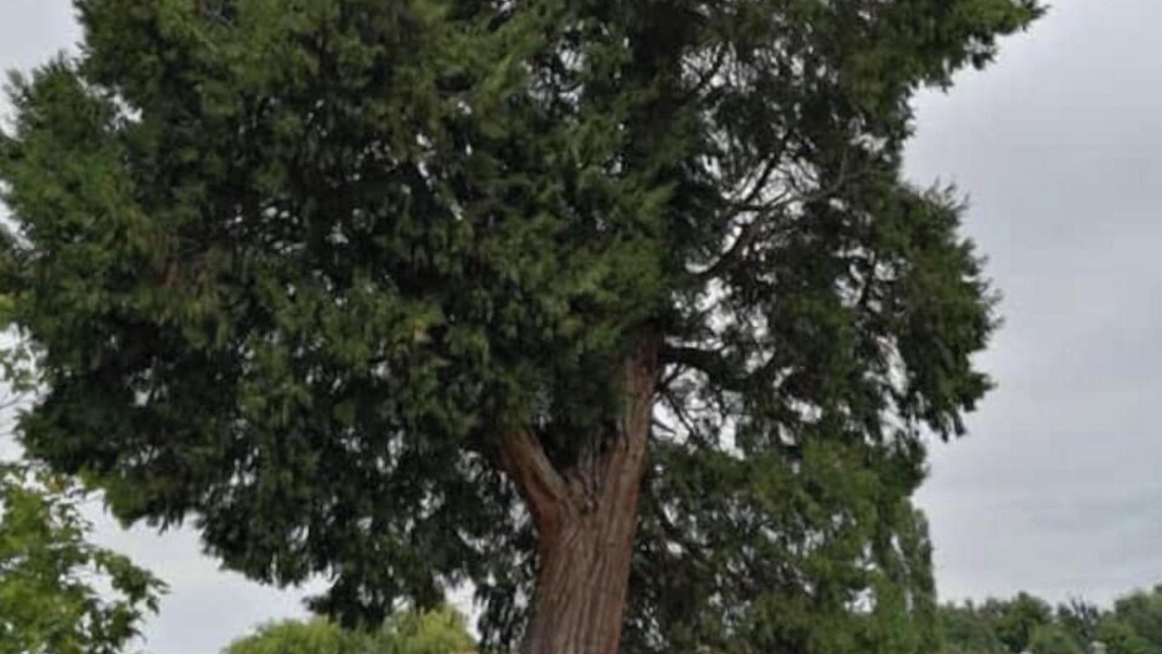 Photo of Outdoor in Petit-Palais-et-Cornemps