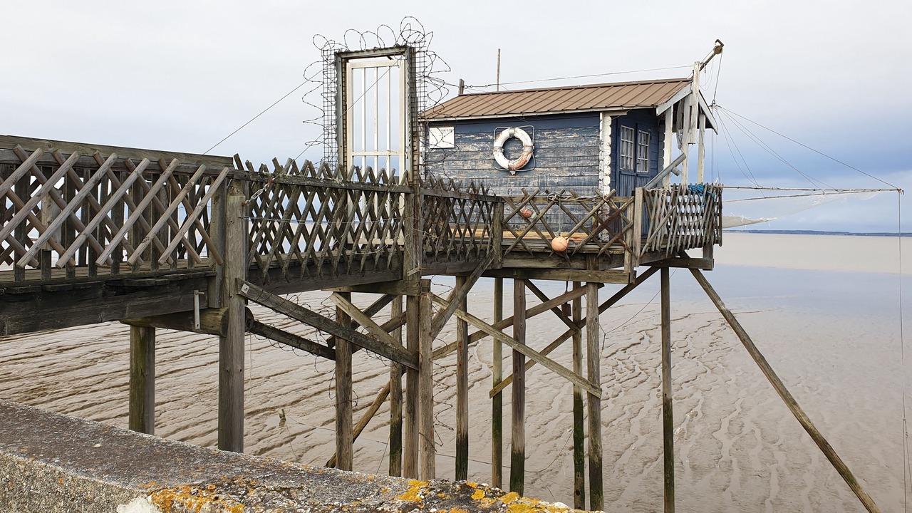 Photo of Others in Listrac-Medoc