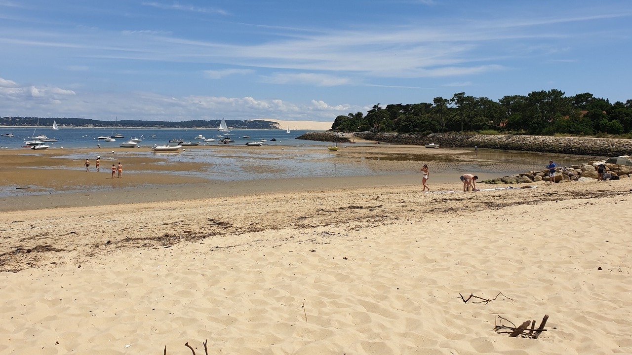 Photo of Others in Listrac-Medoc